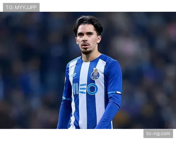 维蒂尼亚潜力与成长空间分析：未来能否迎来爆发